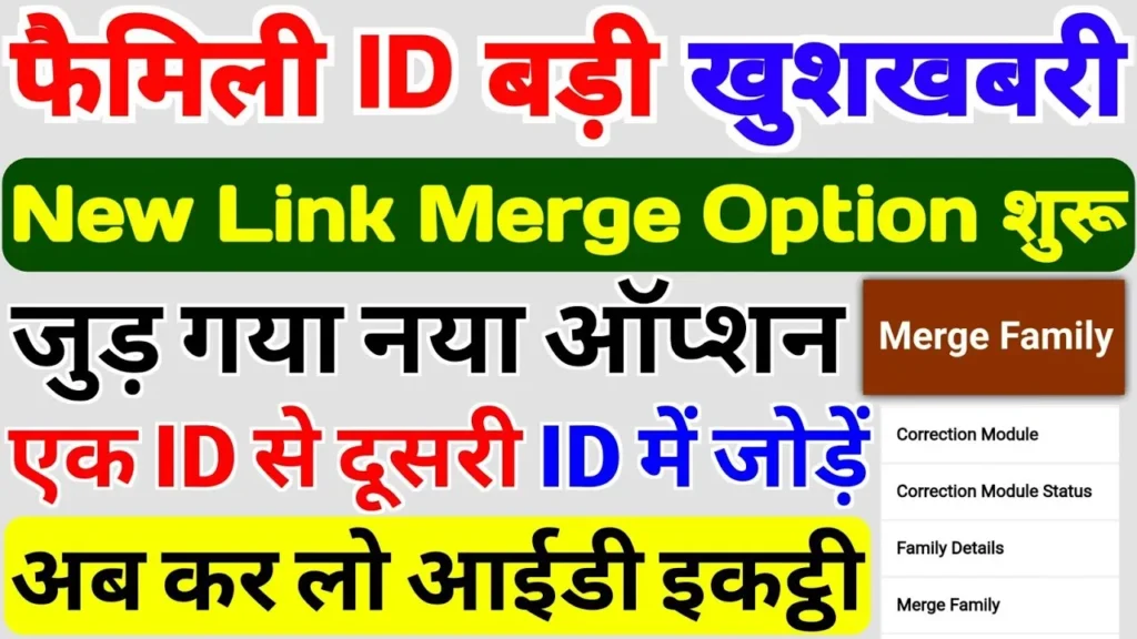 Two Family IDs in the System: How to Merge or Correct Them?