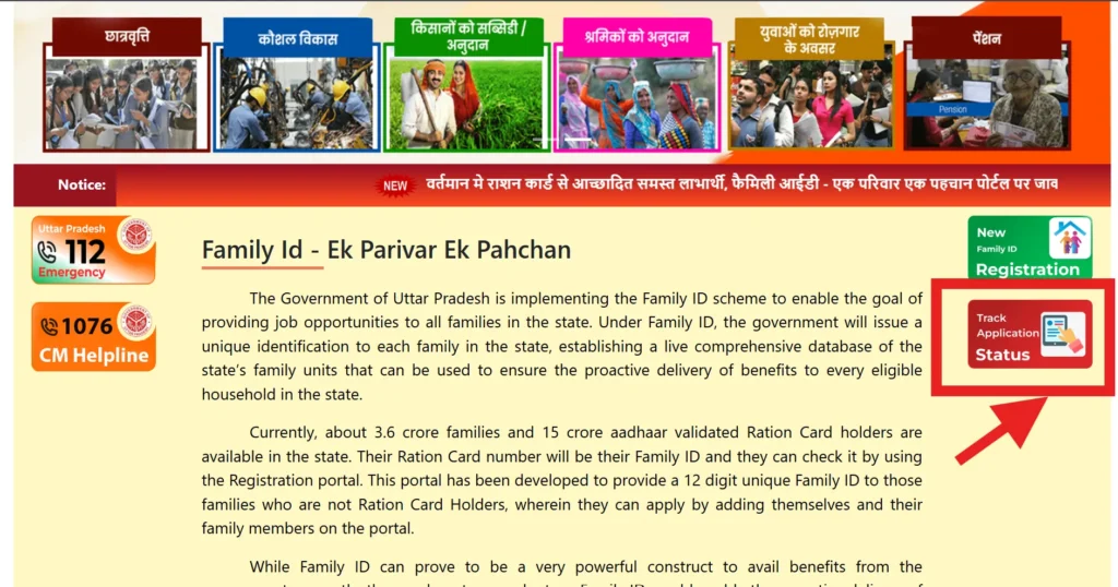 How to Track UP Family ID Application Status